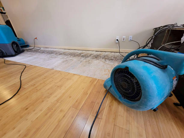Professional Water Removal technician working in Alexandria, VA